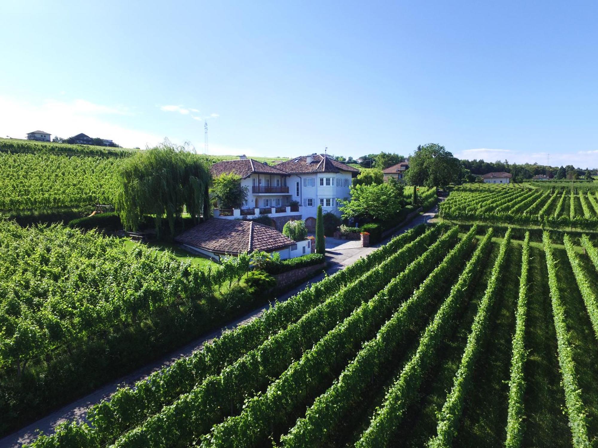 Appartement Weinhof Mumelter à Appiano Sulla Strada Del Vino Extérieur photo